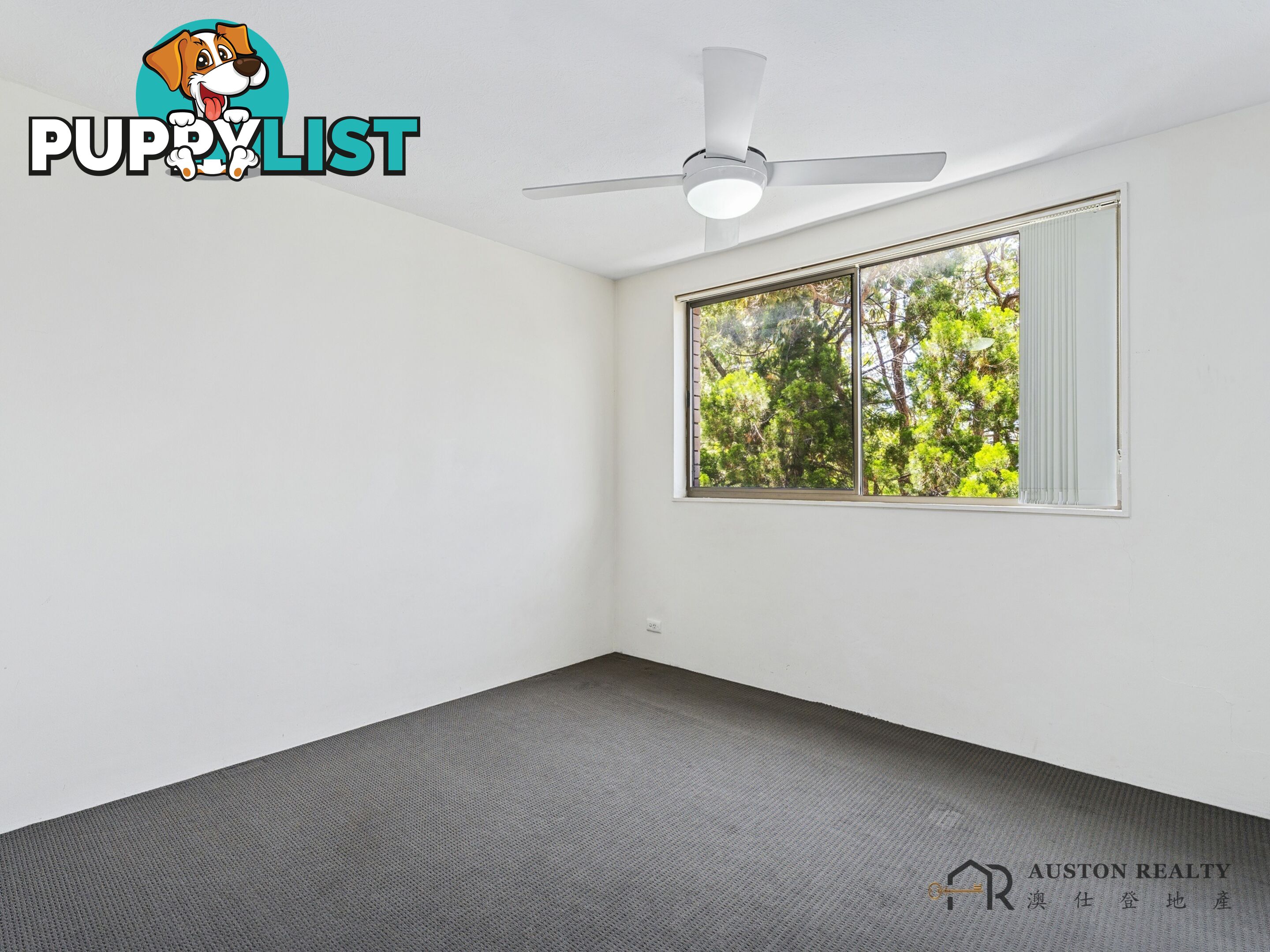 3 16 ROSEWOOD AVENUE BROADBEACH QLD 4218