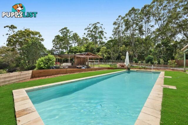 12 Gunsynd Drive MUDGEERABA QLD 4213