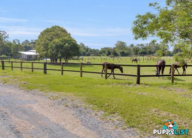 12 Gunsynd Drive MUDGEERABA QLD 4213