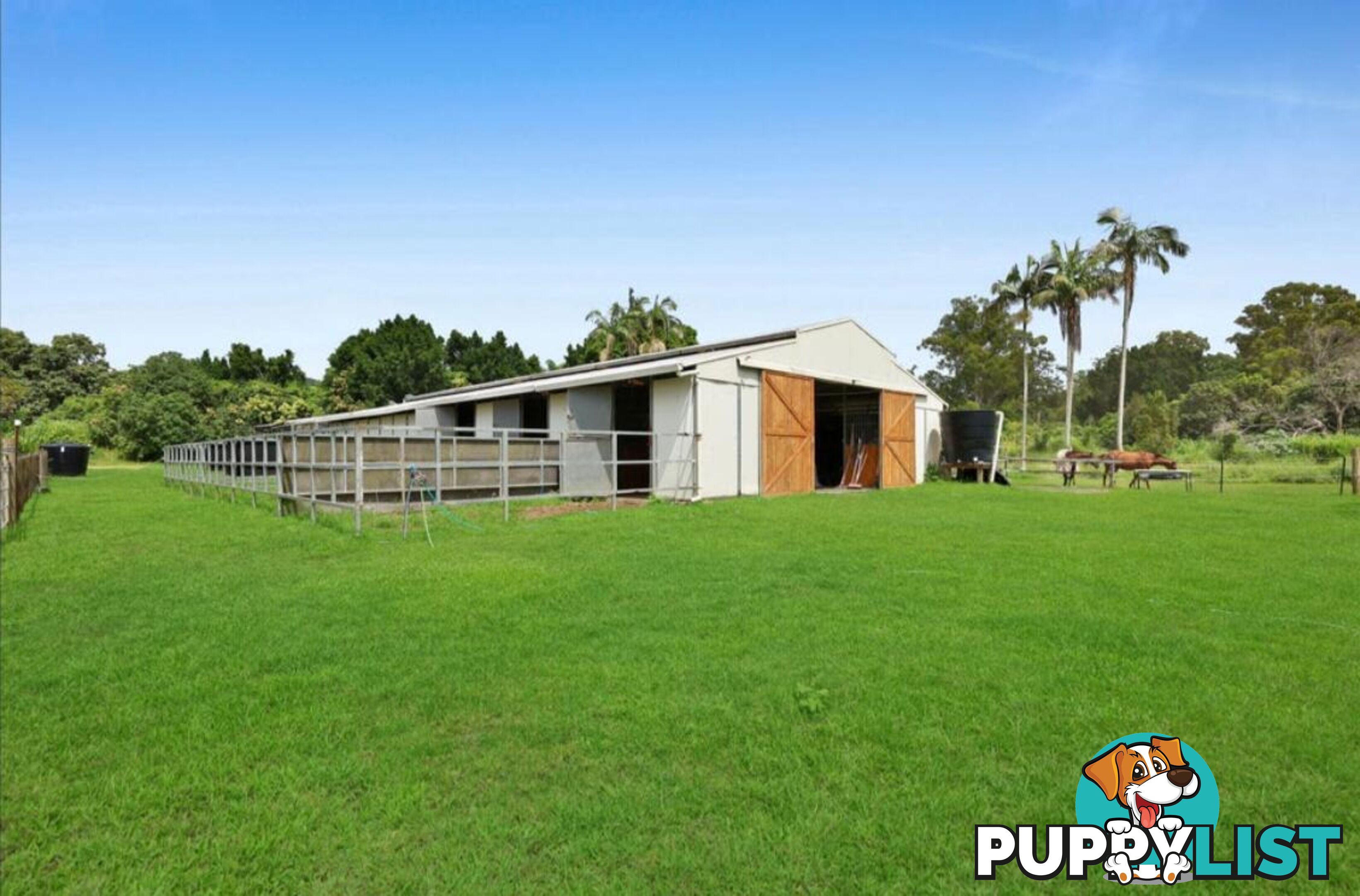 12 Gunsynd Drive MUDGEERABA QLD 4213