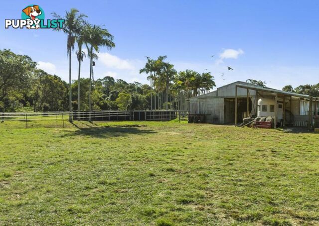 12 Gunsynd Drive MUDGEERABA QLD 4213