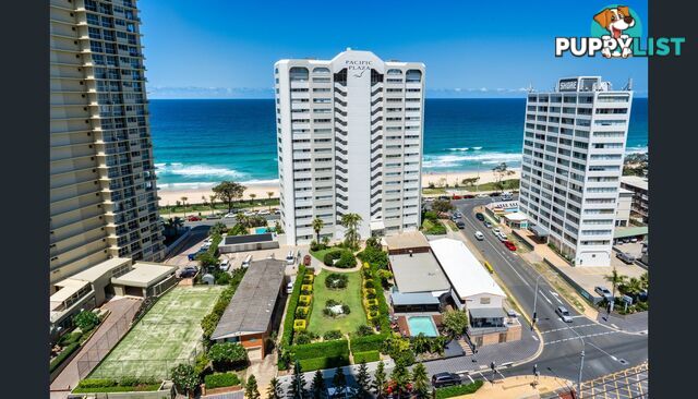 142 The Esplanade SURFERS PARADISE QLD 4217