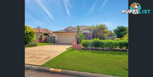 23 GUMLEAF DRIVE MOLENDINAR QLD 4214