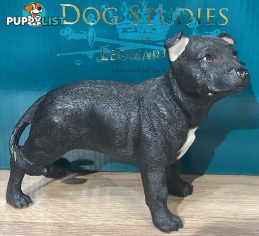 Dog Studies By Leonardo - Dog Staffie Black & White - Leonardo - 5010792133829