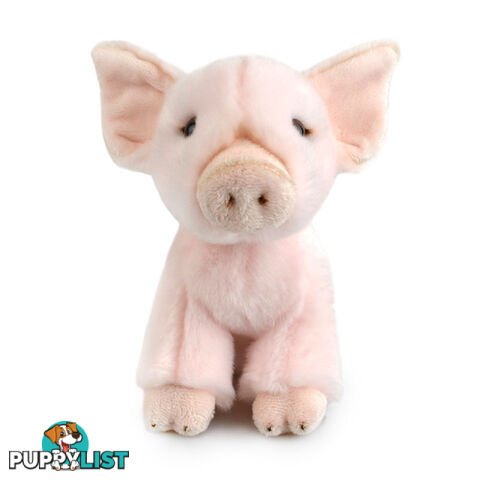 Korimco - Lil Friends Pig Plush 18cm - Korimco - 9312552603686