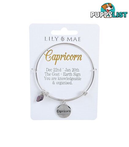 Personalised Bangle with Silver Charm â Capricorn