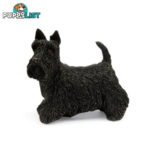 Dog Studies By Leonardo - Scottish Terrier - 5010792435169