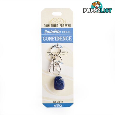 Something Forever â Sodalite Key Charm â Stone of Confidence