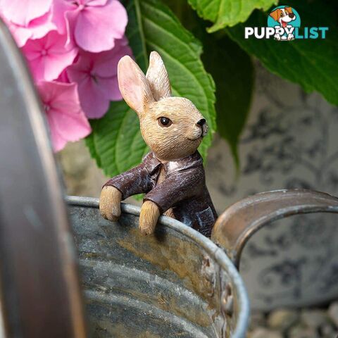 Pot Buddies: Beatrix Potter Benjamin Bunny - Jardinopia Garden Decor - 5060733452397