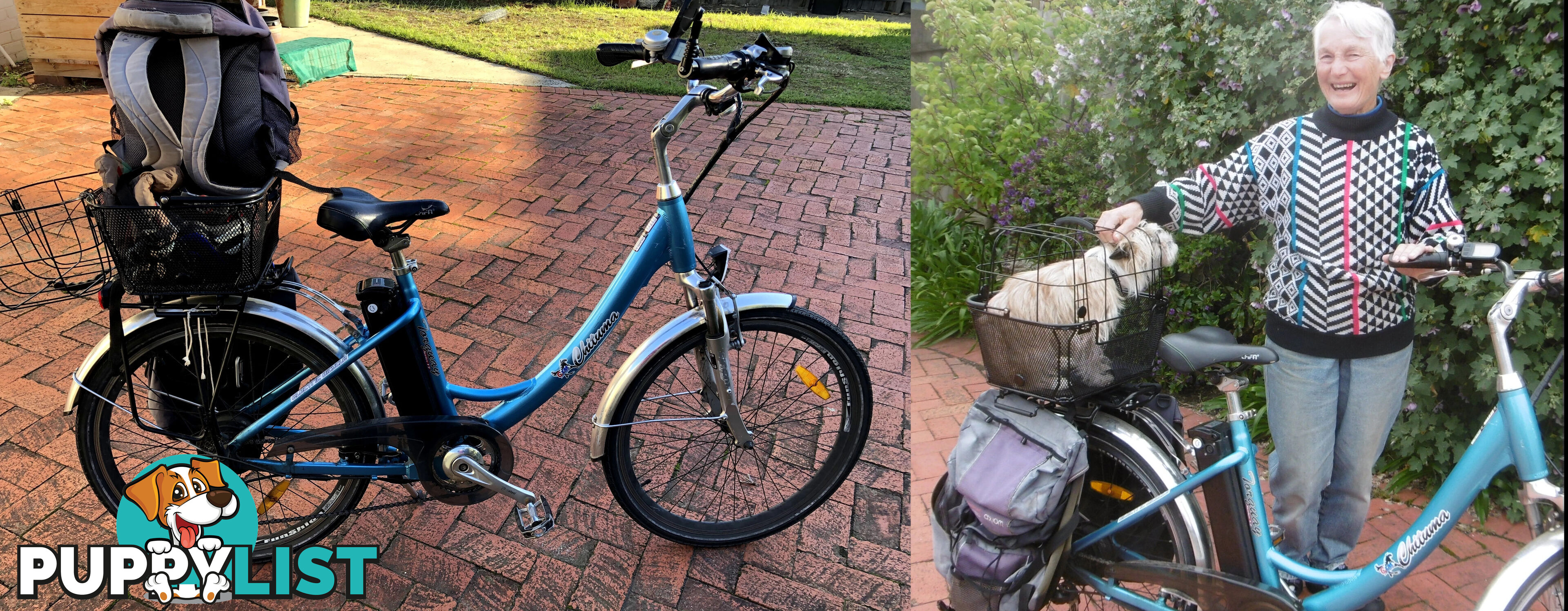 Torquey 6 Electric cycle