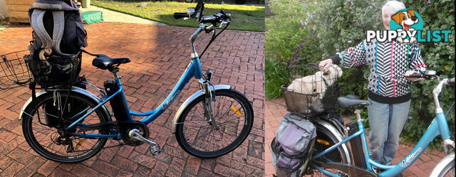 Torquey 6 Electric cycle
