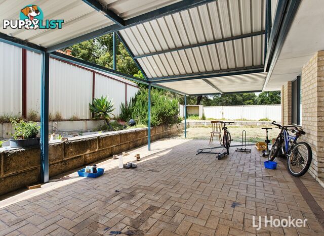 8 Butcherbird Road HARVEY WA 6220