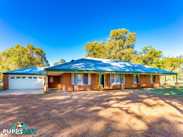 6 Kookaburra Close MYALUP WA 6220