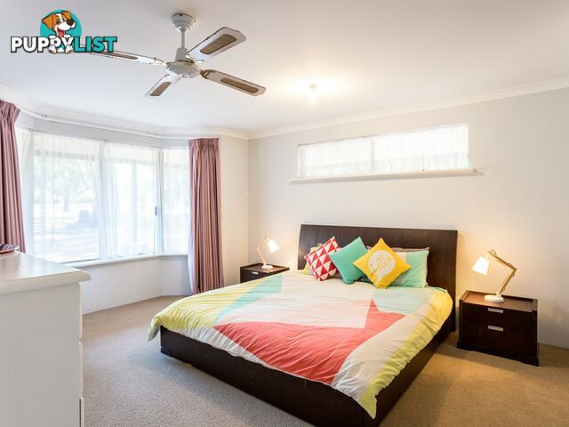 6 Kookaburra Close MYALUP WA 6220