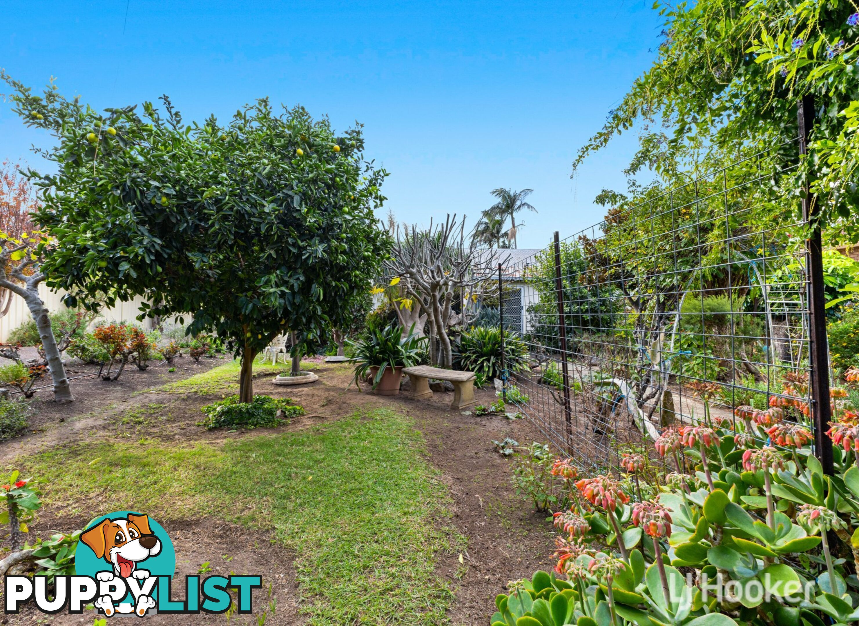 241 Korijekup Avenue HARVEY WA 6220