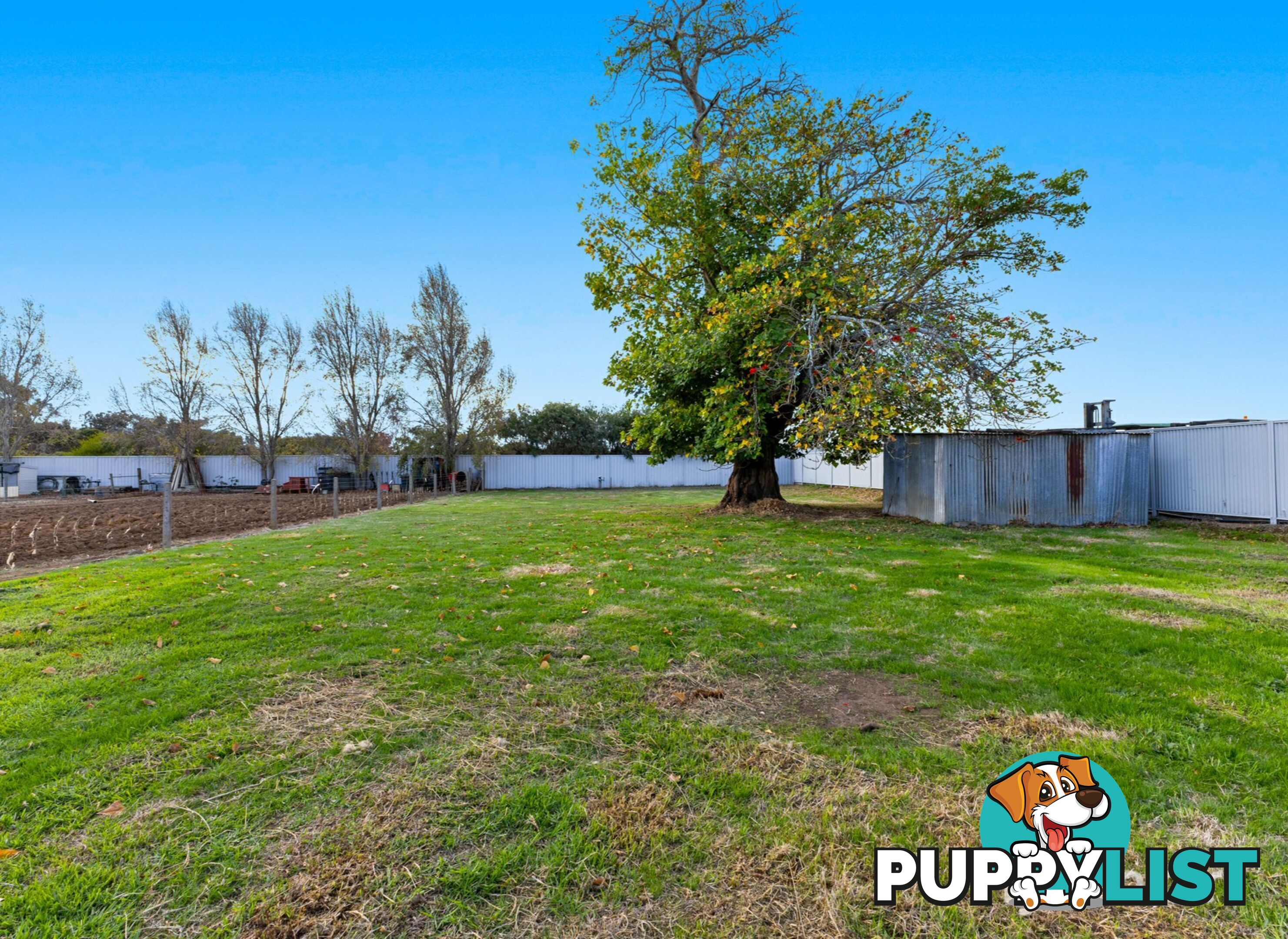241 Korijekup Avenue HARVEY WA 6220
