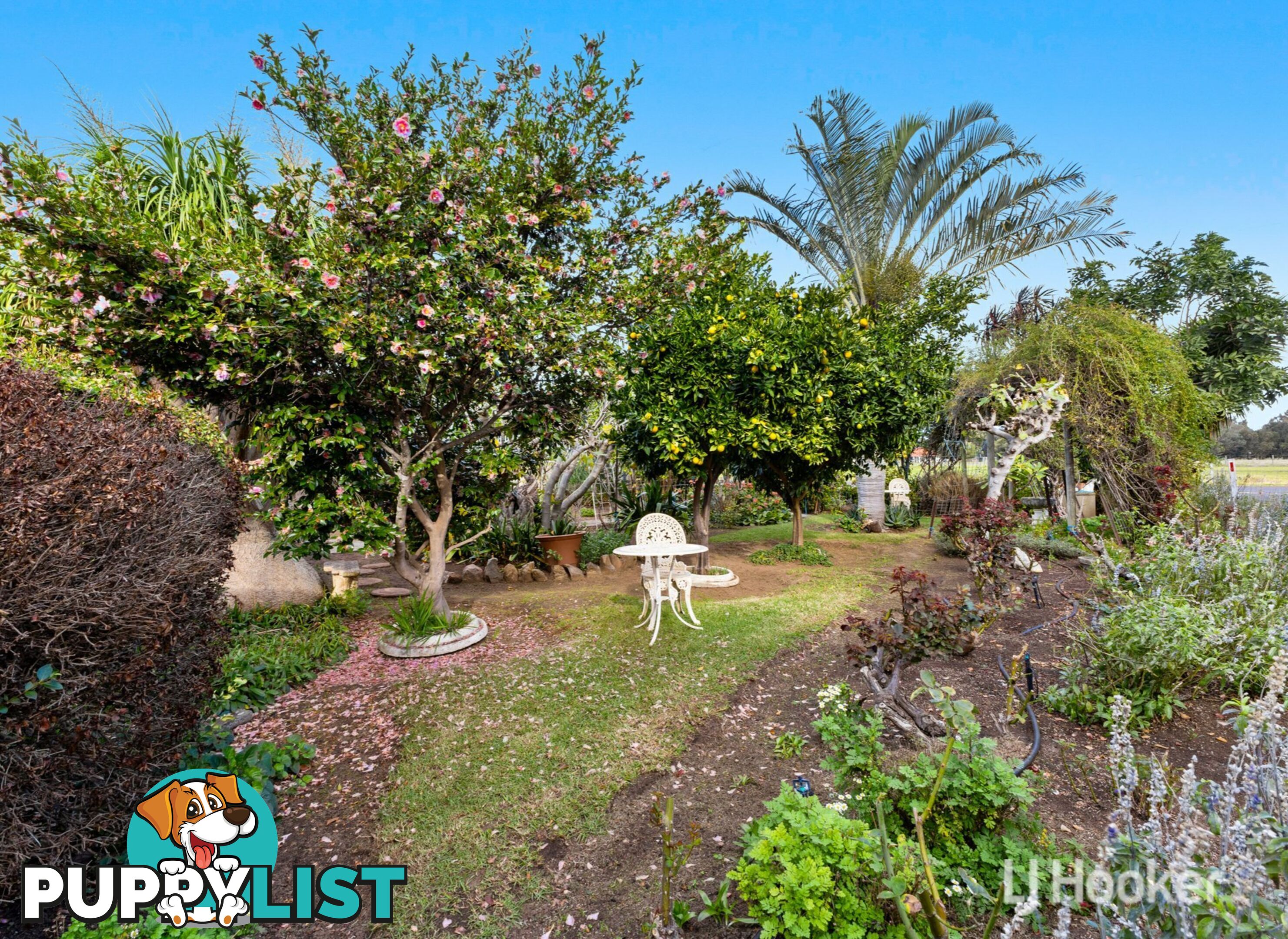 241 Korijekup Avenue HARVEY WA 6220