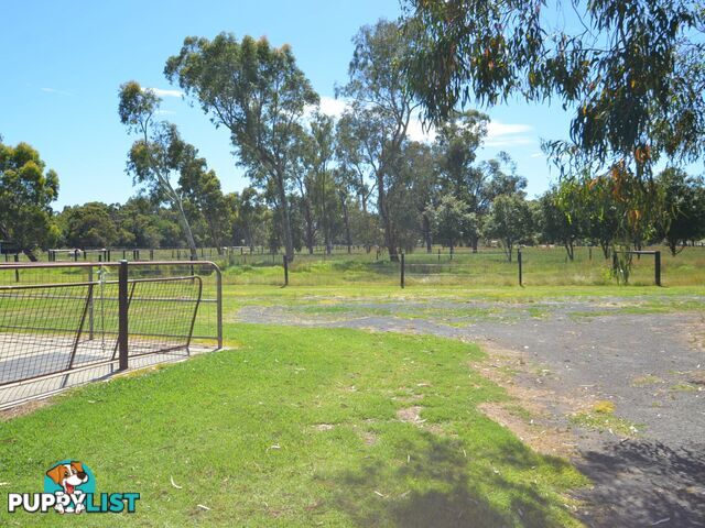 74 Dixon Avenue WOKALUP WA 6221