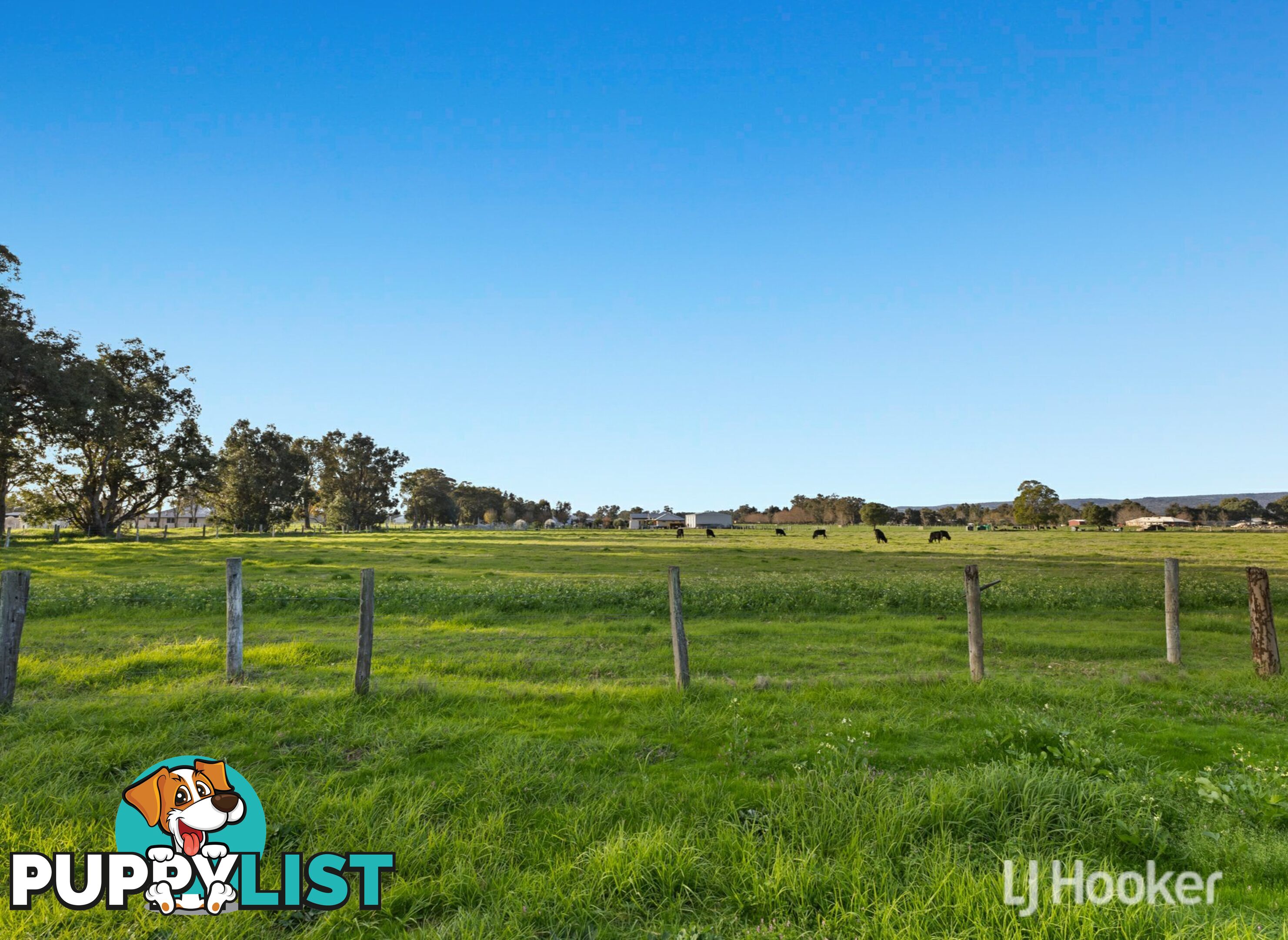 147 Korijekup Avenue HARVEY WA 6220