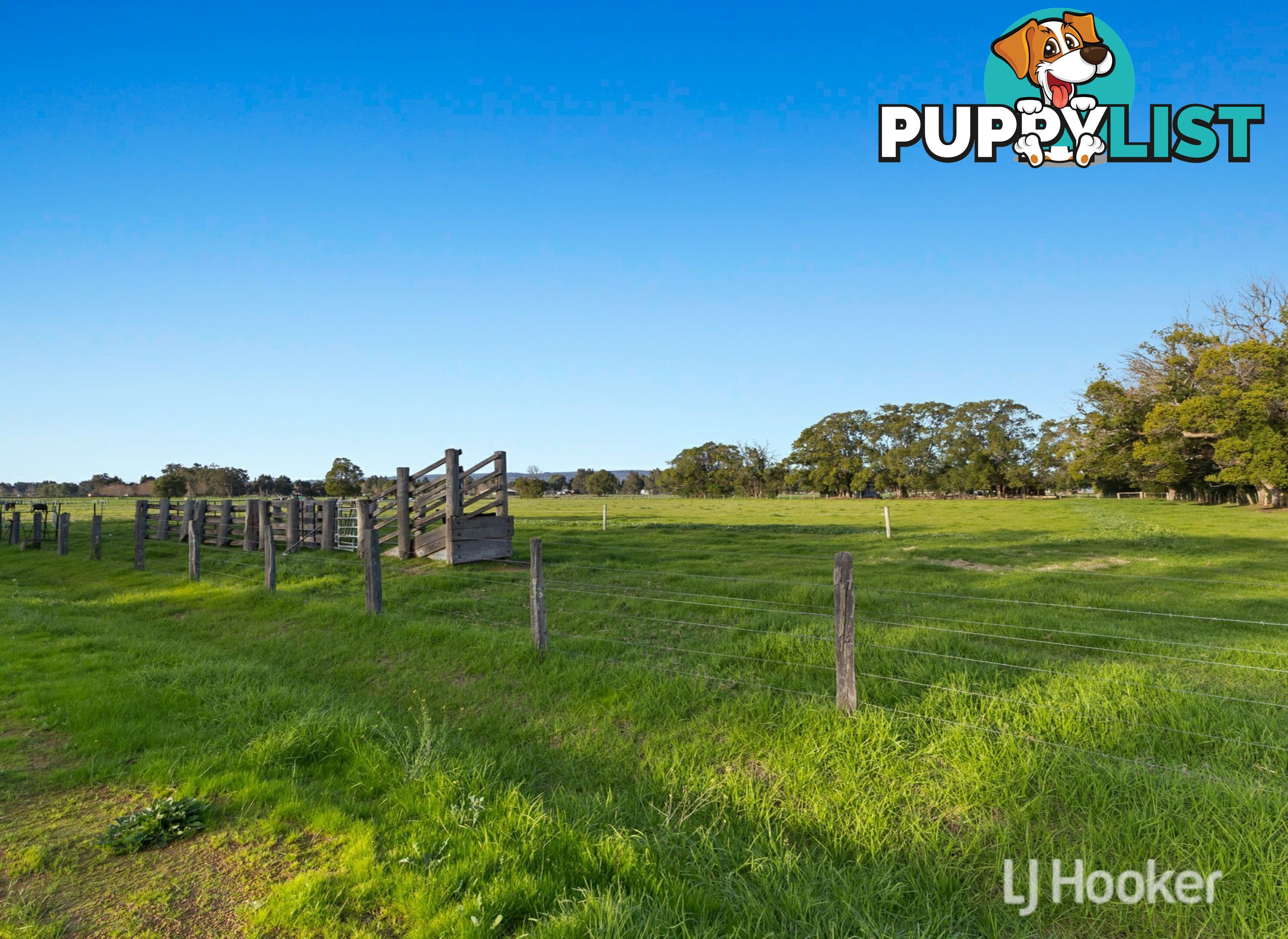 147 Korijekup Avenue HARVEY WA 6220