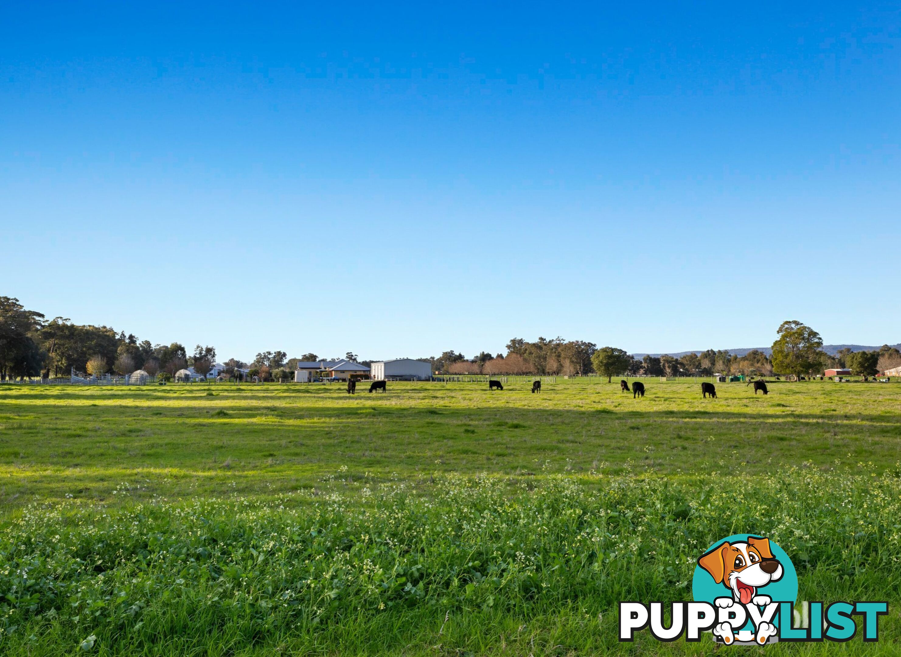 147 Korijekup Avenue HARVEY WA 6220