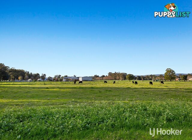 147 Korijekup Avenue HARVEY WA 6220