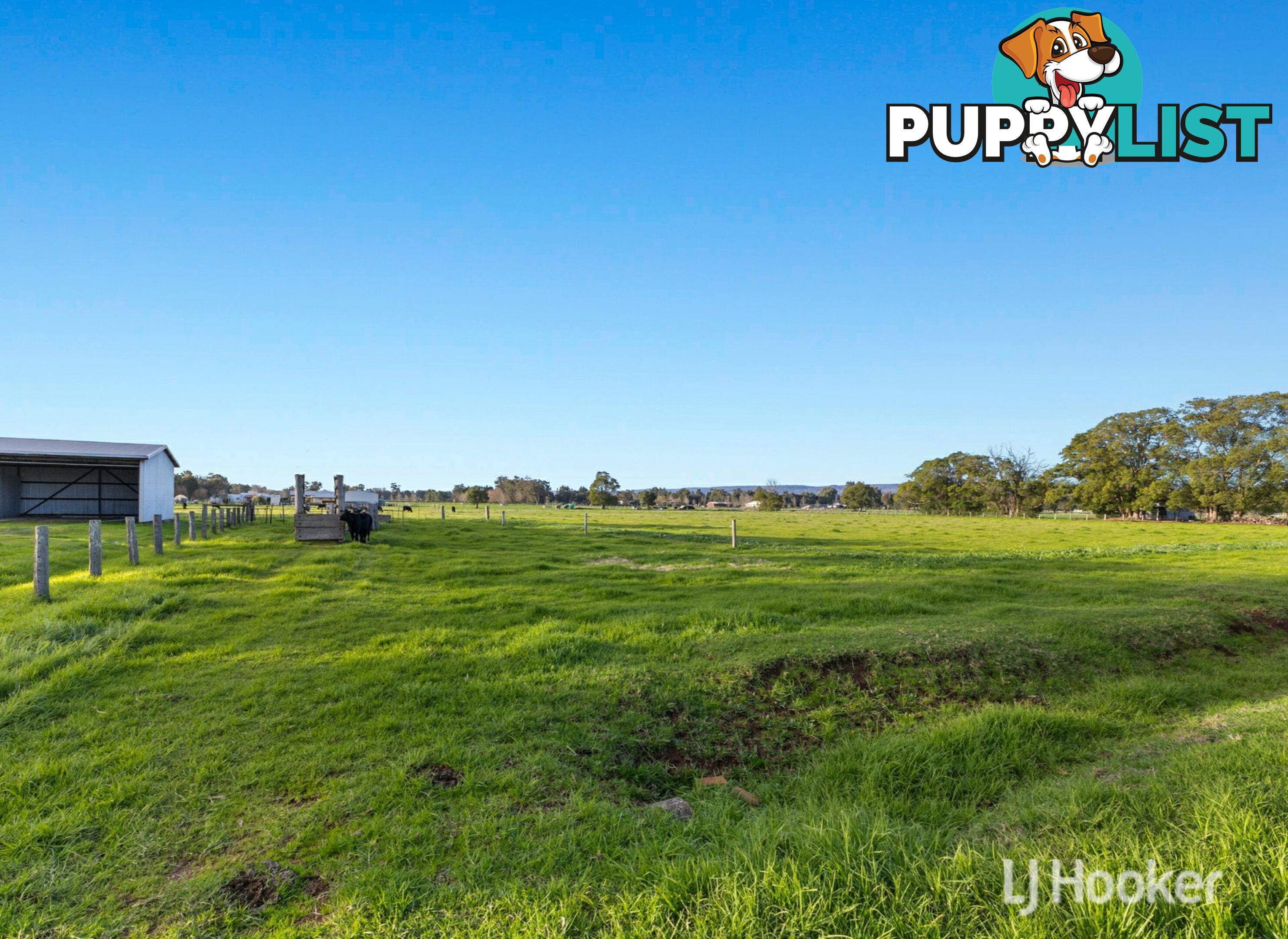 147 Korijekup Avenue HARVEY WA 6220