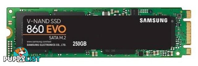 Samsung 860 EVO M2 250GB