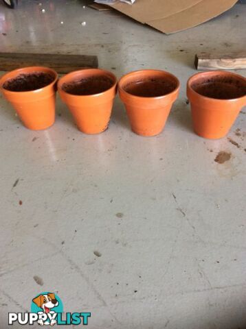 Ceramic Pots