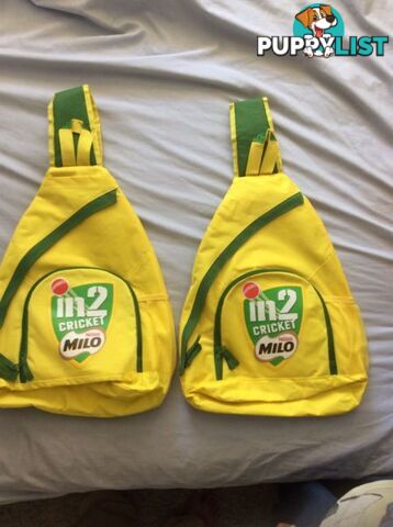 Cricket bags for kids