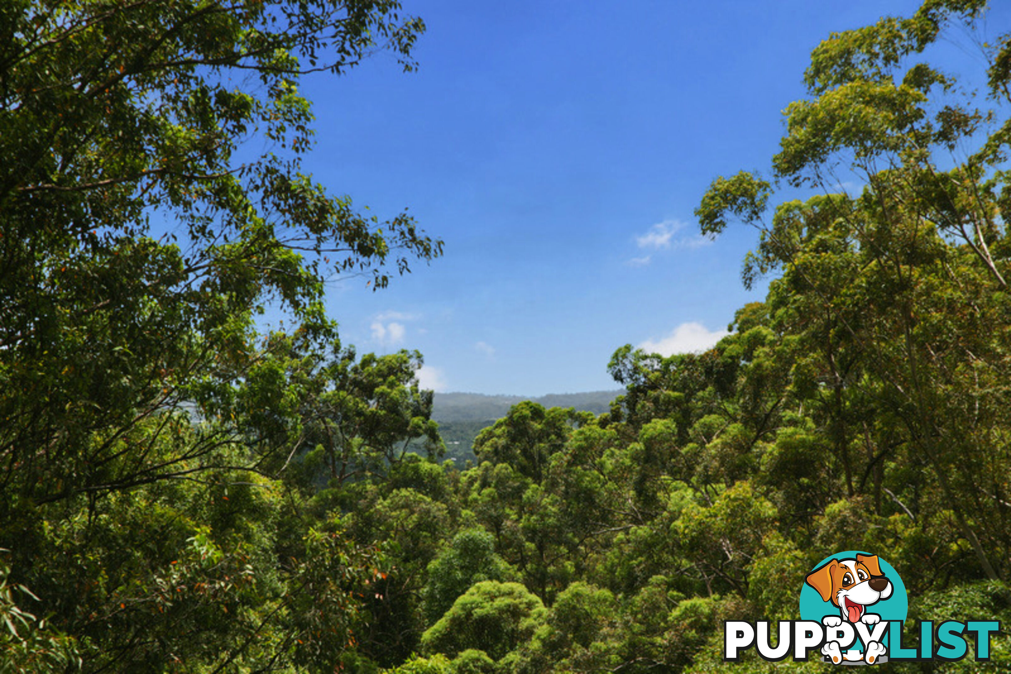 450 Upper Landershute Rd Landers Shoot QLD 4555