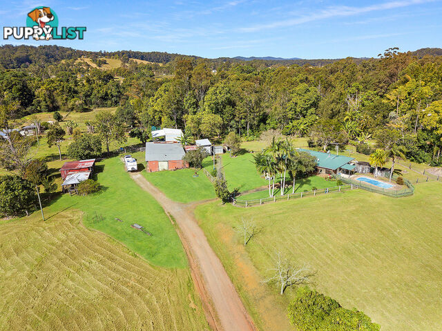 47 Don Napier Rd Eumundi QLD 4562