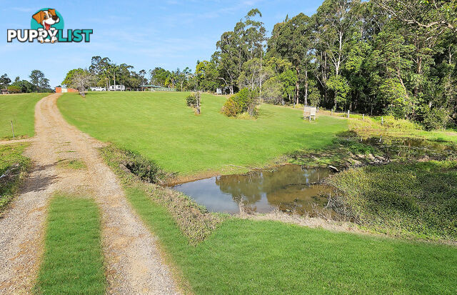 47 Don Napier Rd Eumundi QLD 4562