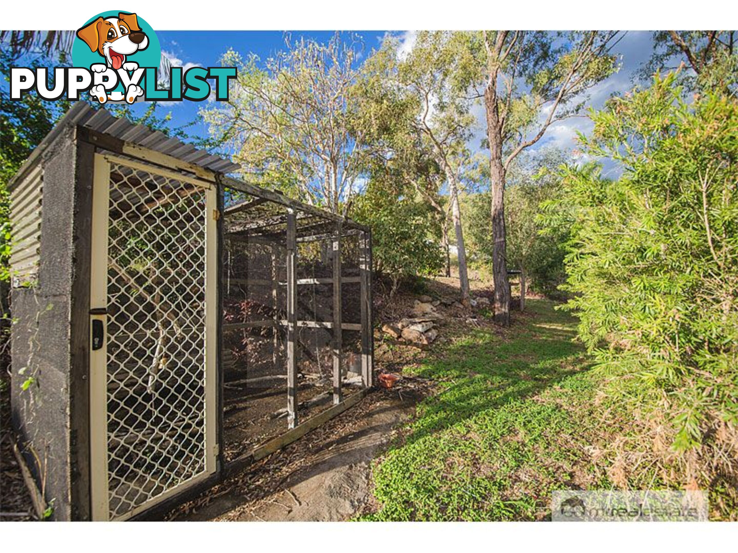 10 Cobble Court Norman Gardens QLD 4701