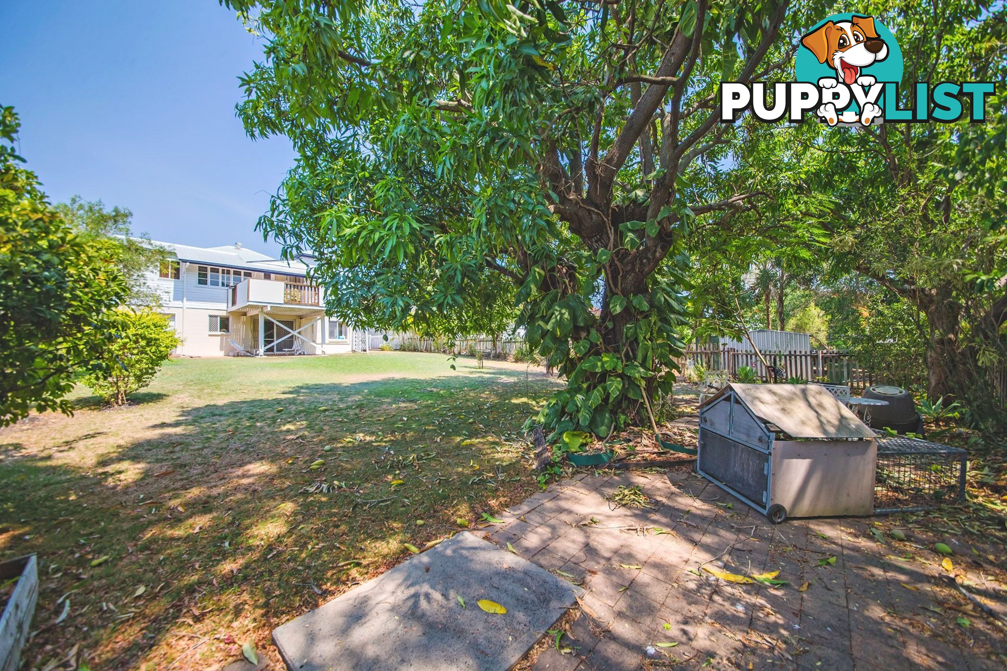 28 Wilkinson Street Wandal QLD 4700