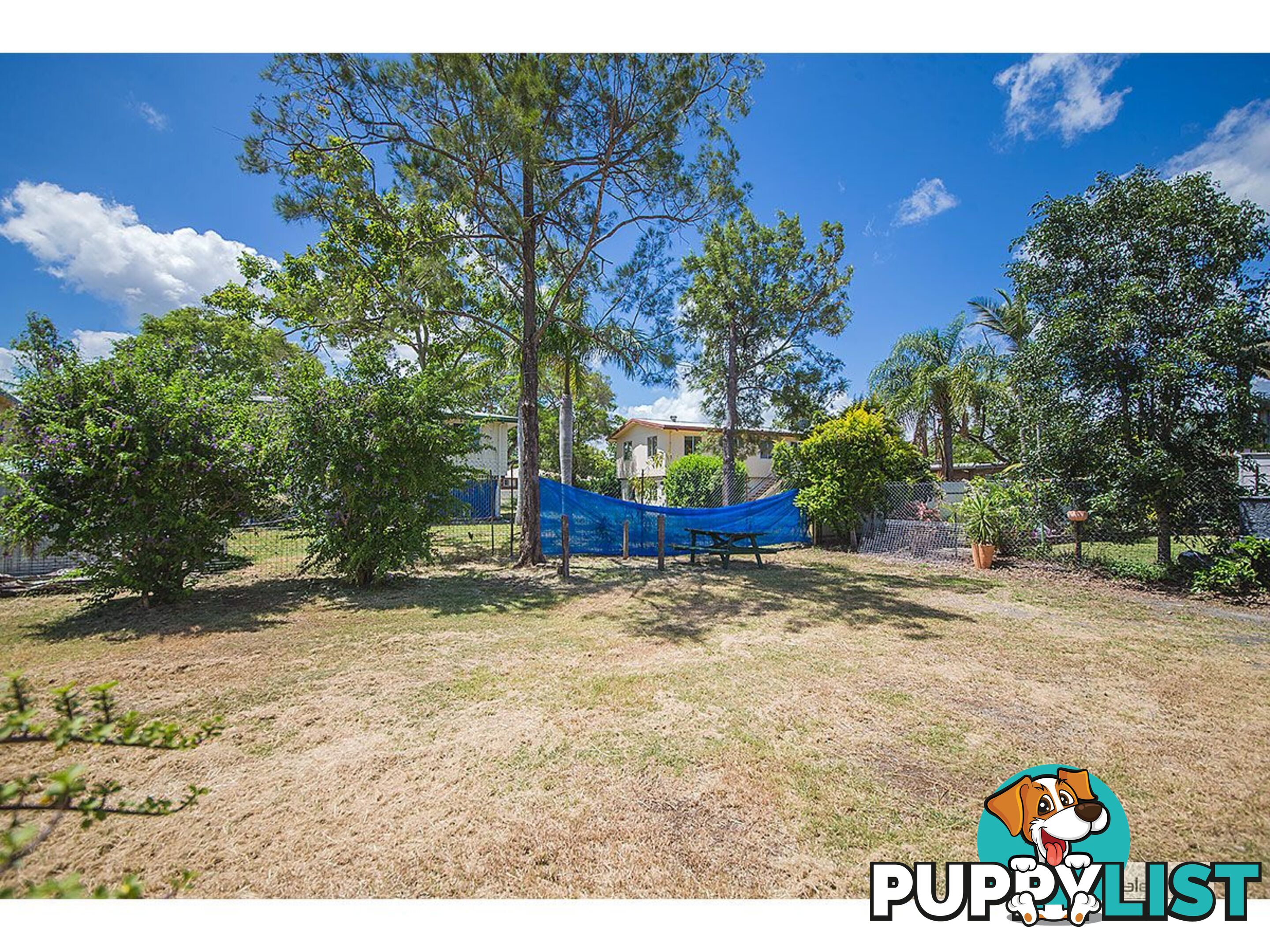 3 Buntain Street Kawana QLD 4701