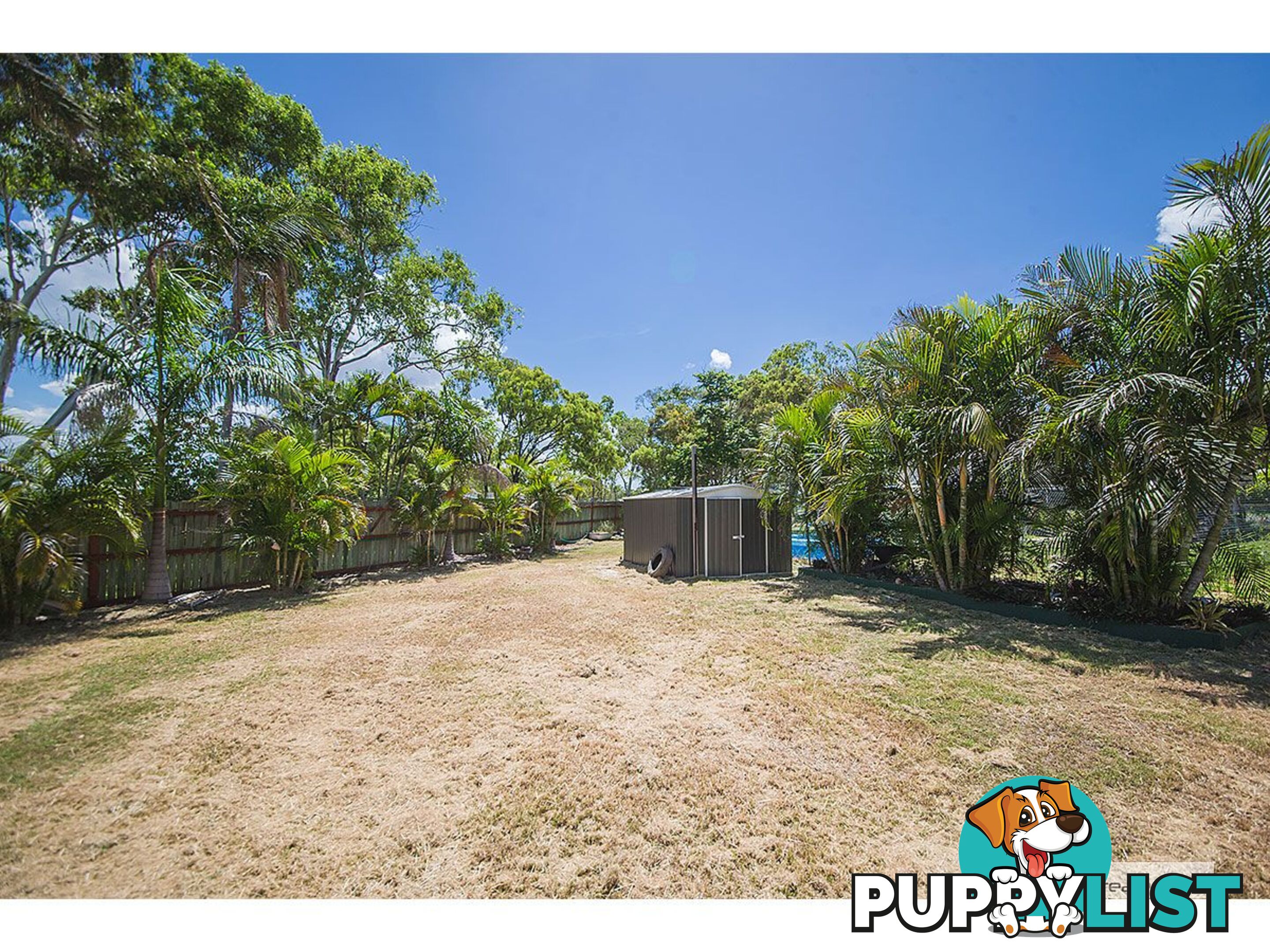 3 Buntain Street Kawana QLD 4701