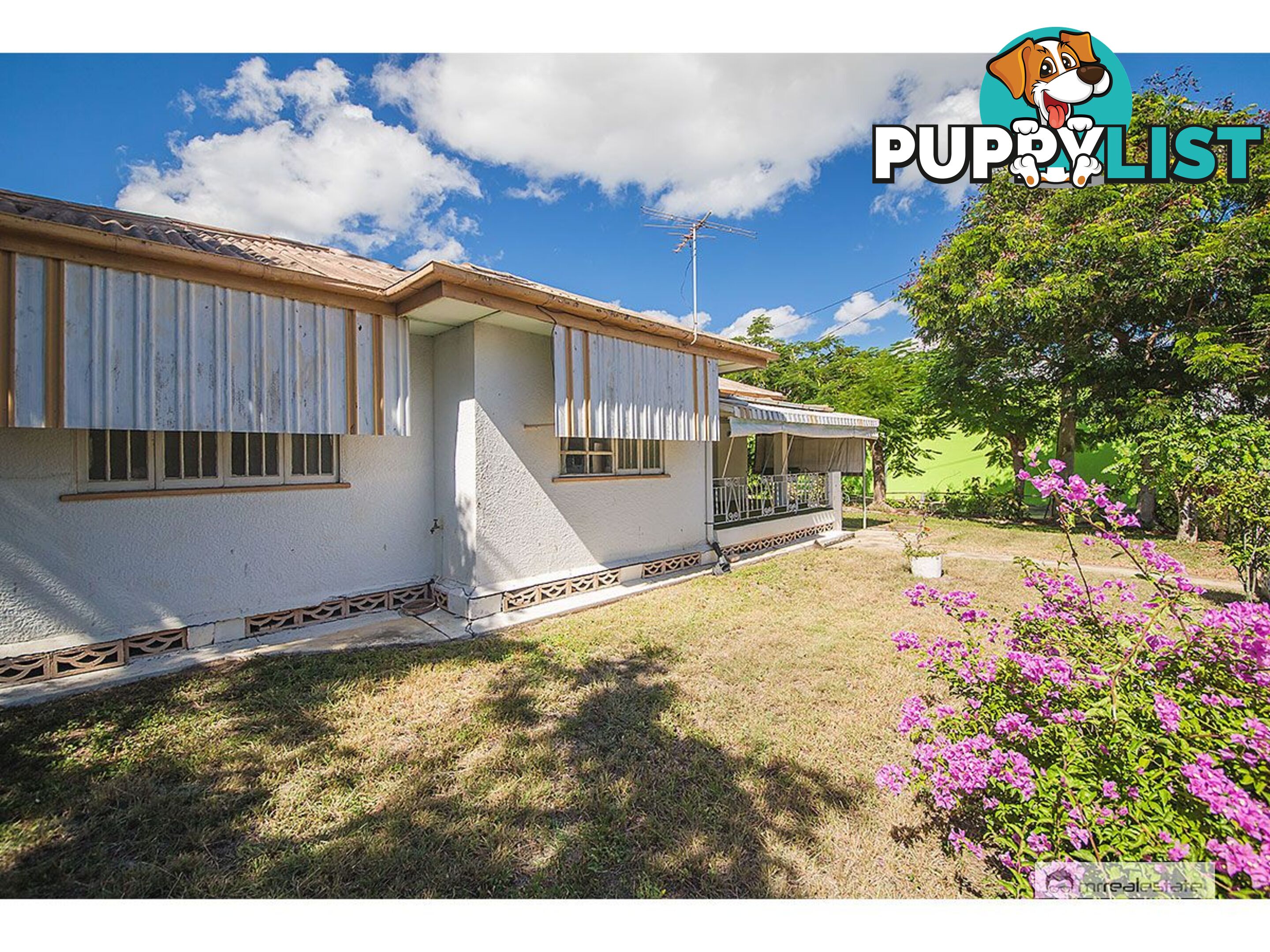 117 Fitzroy Street Allenstown QLD 4700