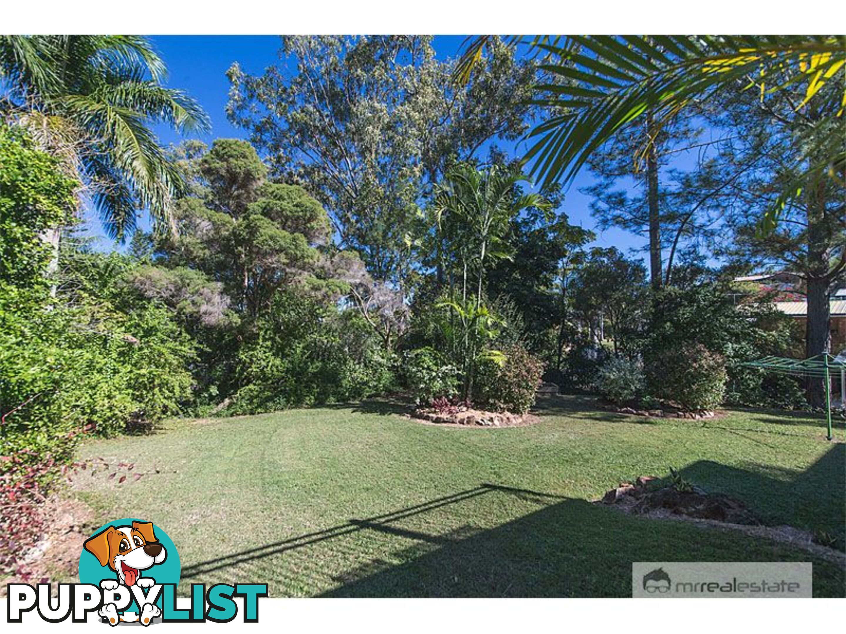 327 Everingham Avenue Frenchville QLD 4701