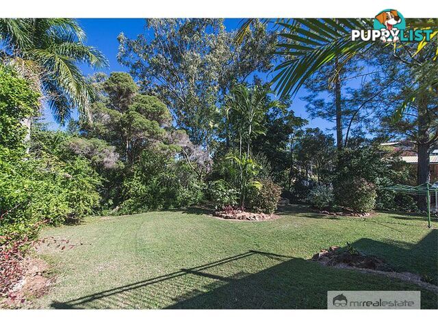 327 Everingham Avenue Frenchville QLD 4701