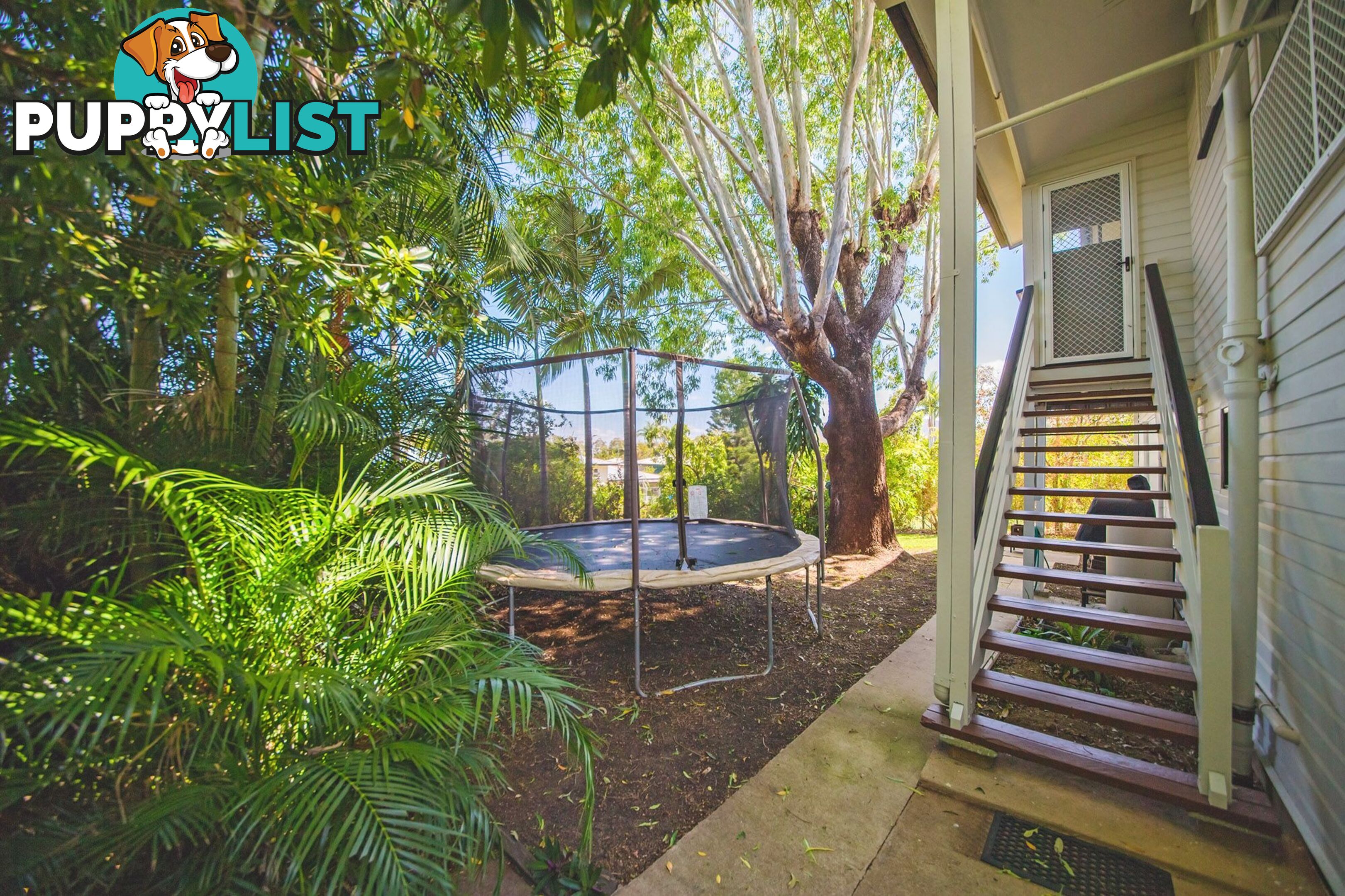 351 Philp Avenue Frenchville QLD 4701