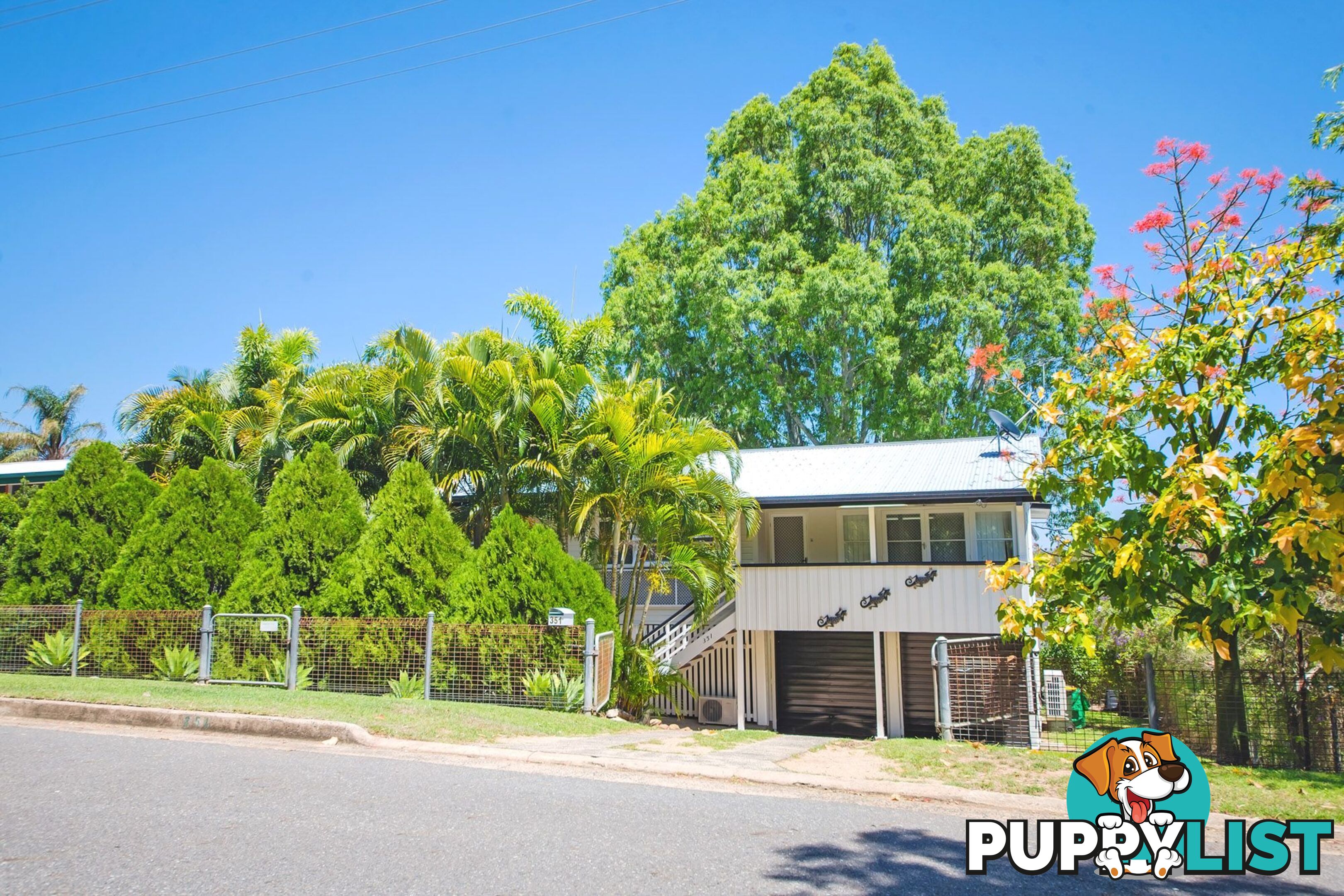 351 Philp Avenue Frenchville QLD 4701