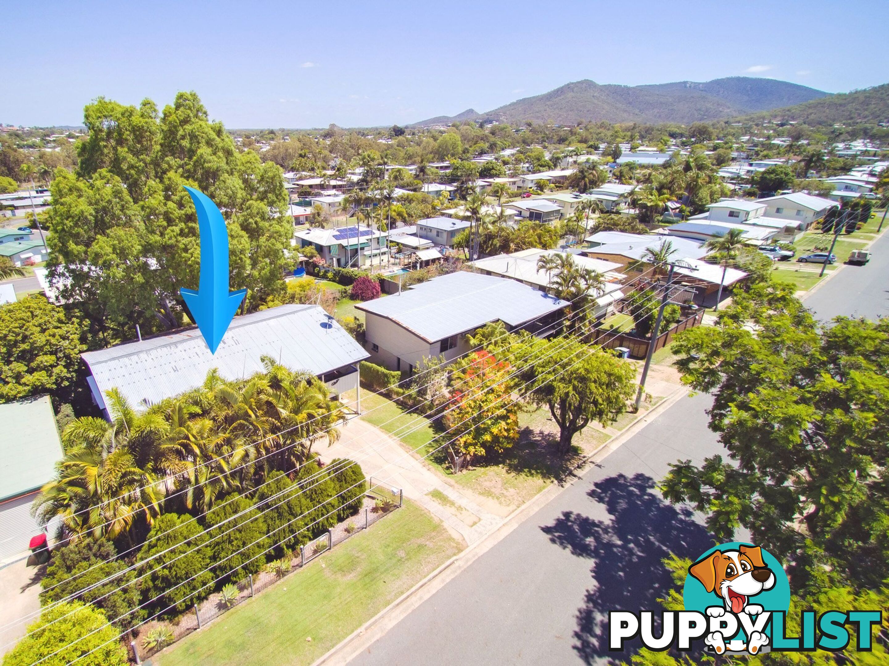 351 Philp Avenue Frenchville QLD 4701