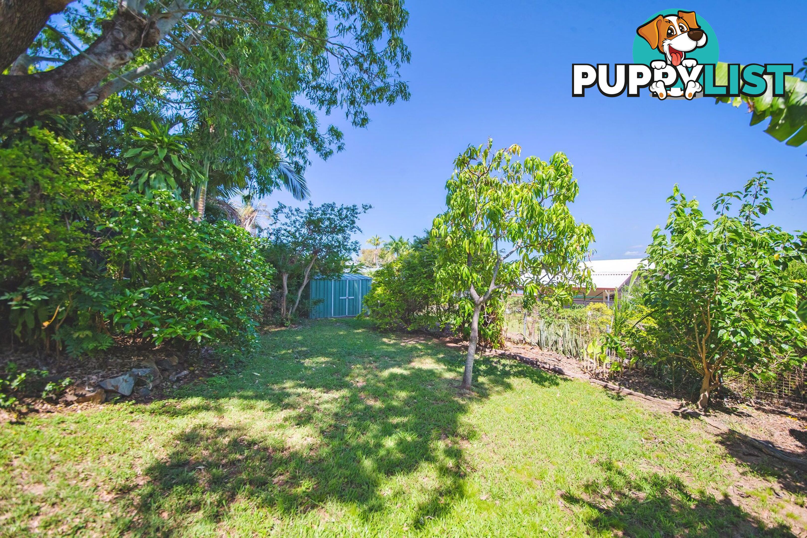 351 Philp Avenue Frenchville QLD 4701