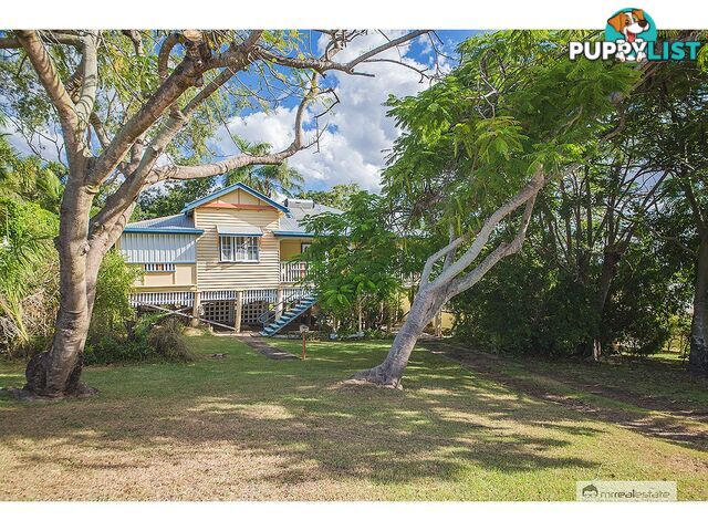 81 Penlington Street The Range QLD 4700