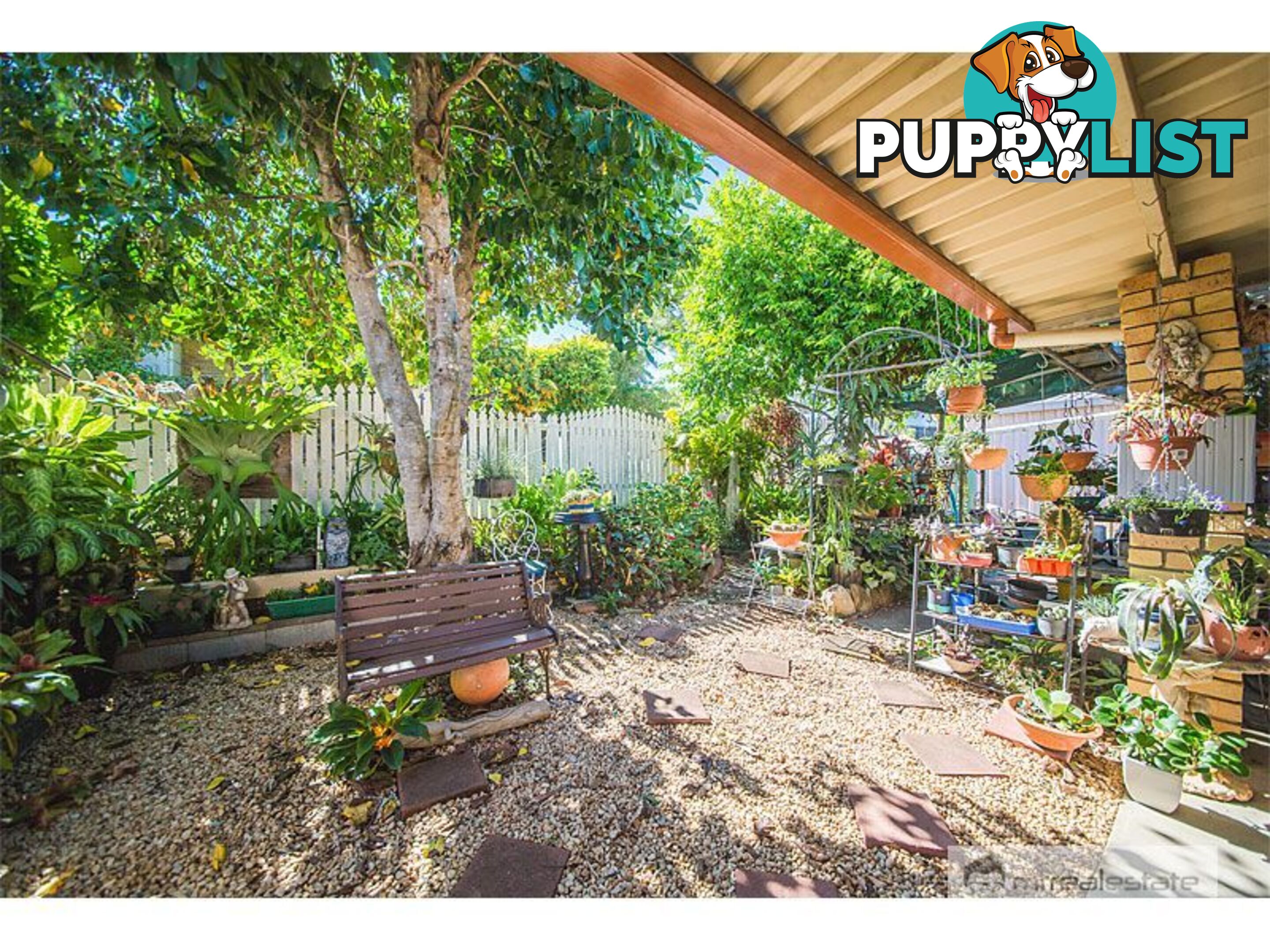 3 Nardoo Close Norman Gardens QLD 4701