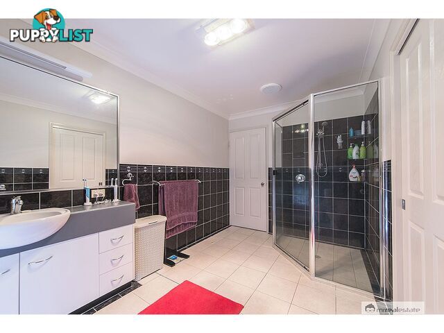 95 Constance Avenue Rockyview QLD 4701