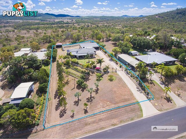 95 Constance Avenue Rockyview QLD 4701