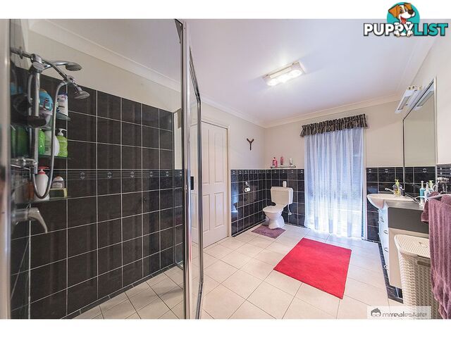 95 Constance Avenue Rockyview QLD 4701