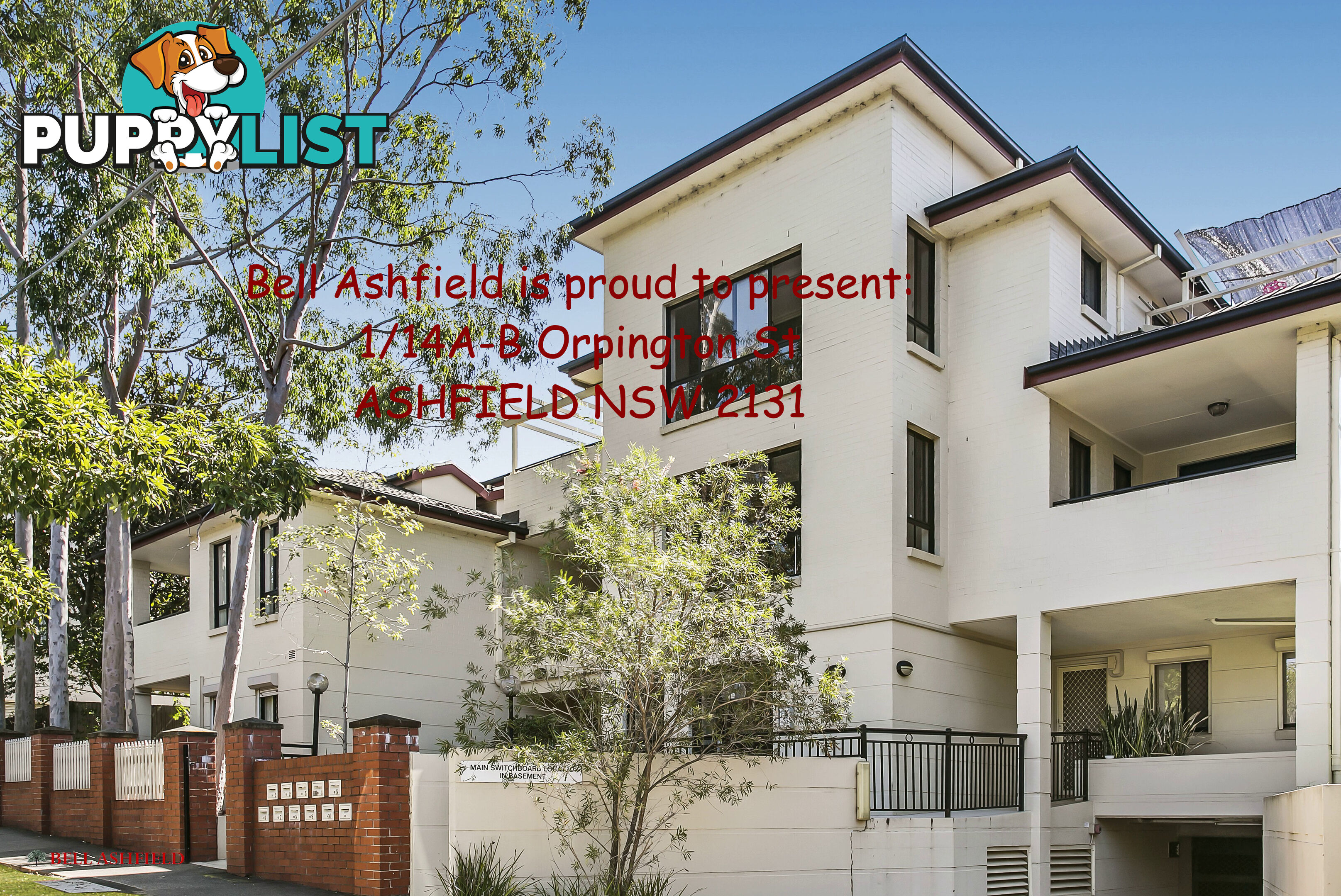 1 14A Orpington St Ashfield NSW 2131